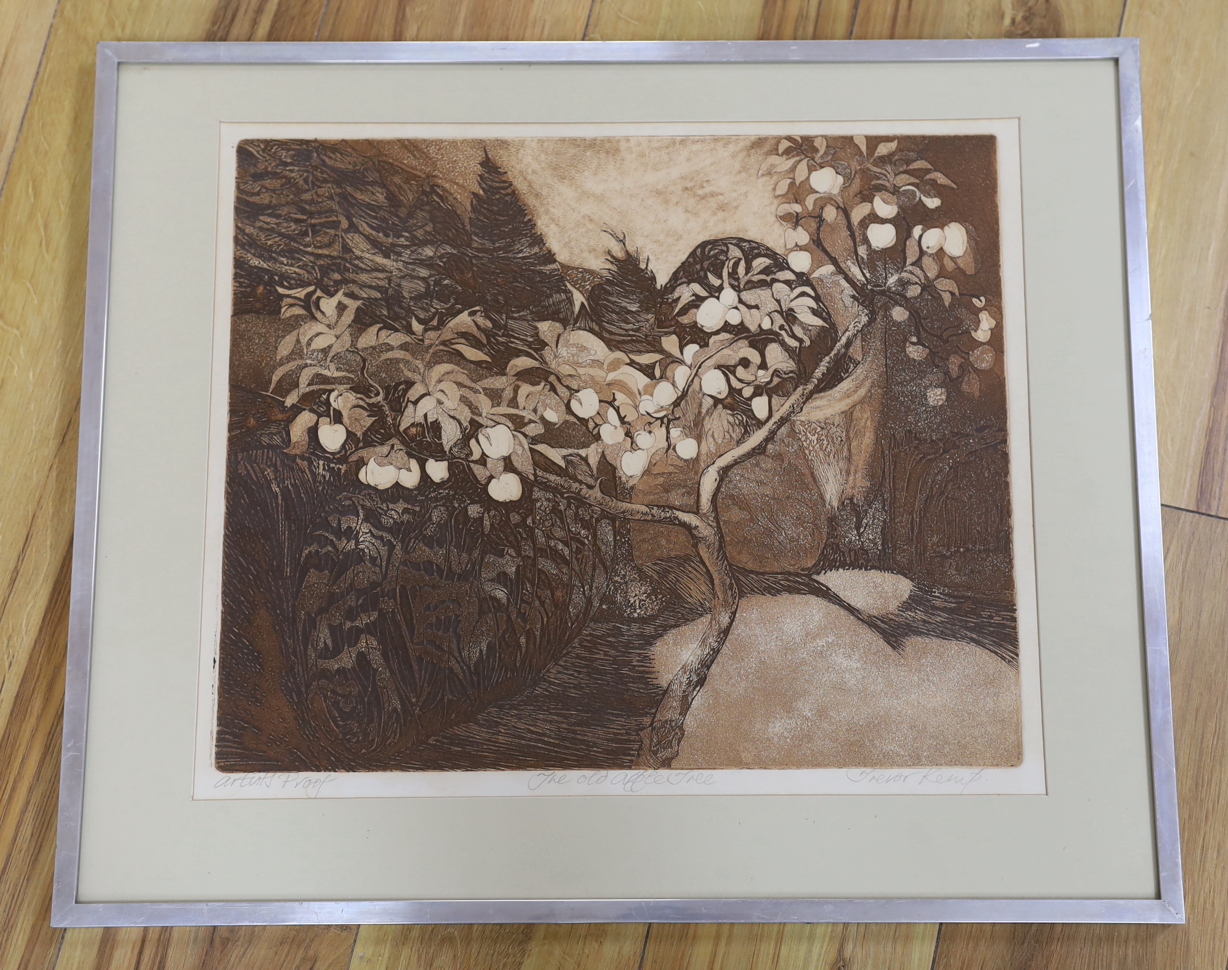 Trevor Kemp (b.1935) artist's proof sanguine etching 'The Old Apple Tree', signed in pencil, 40 x 47cm